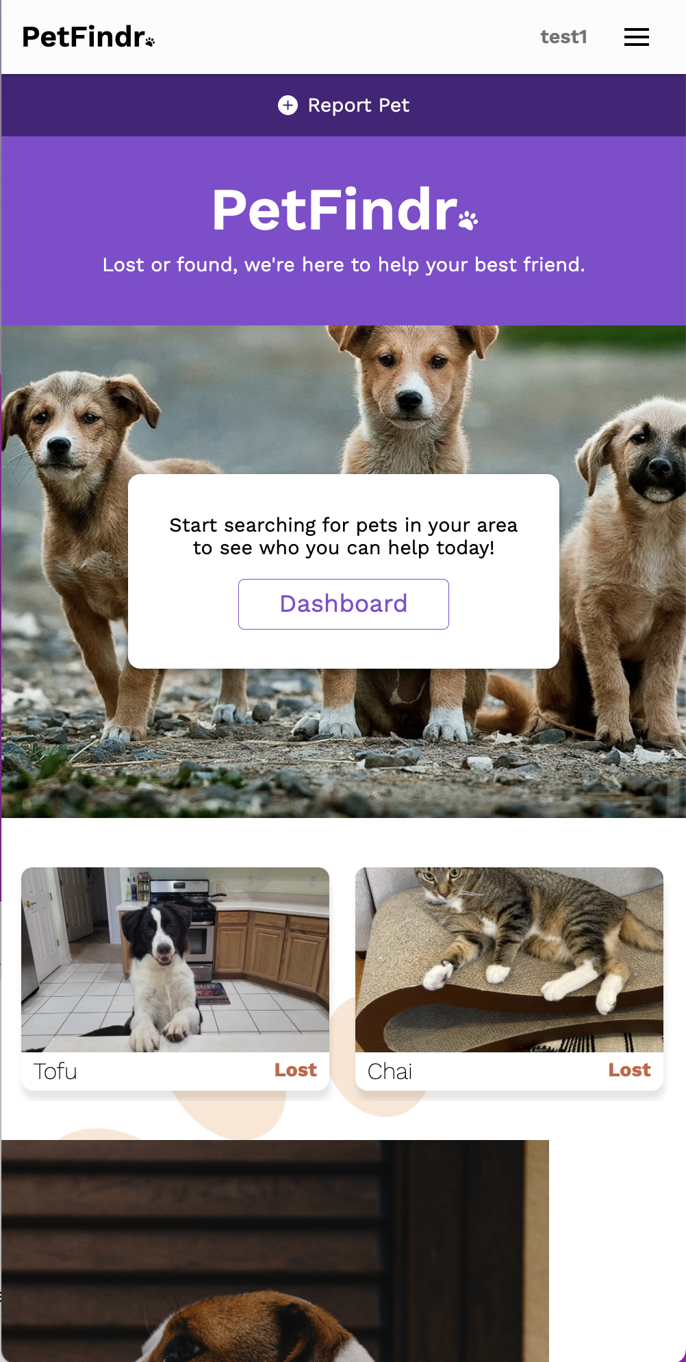 Petfindr